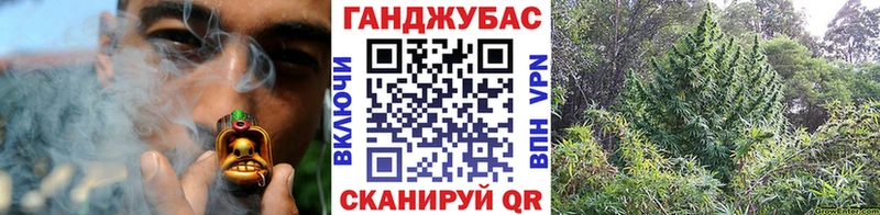 где найти   Коркино  Марихуана VHQ 